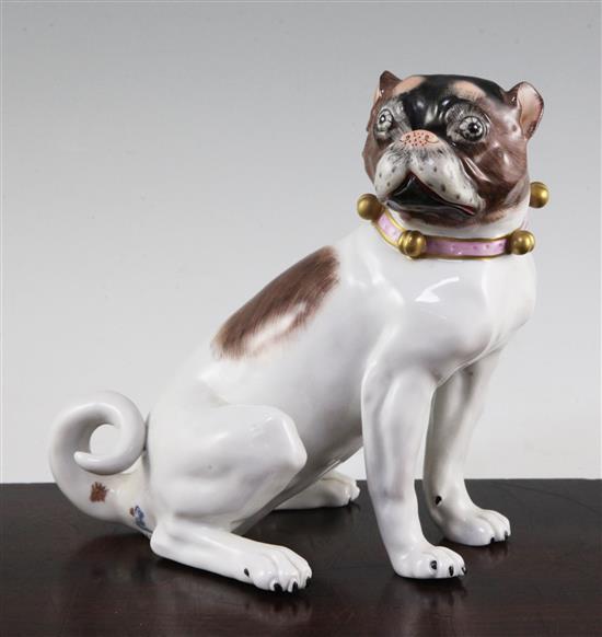 A Dresden porcelain model of a seated Pug dog, early 20th century, 17.5cm